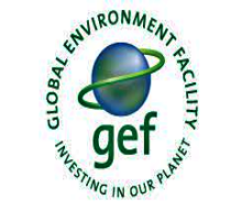 global environment
