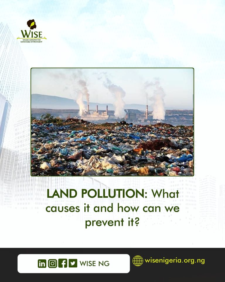 LAND POLLUTION What Causes It and How Can We Prevent It? Women