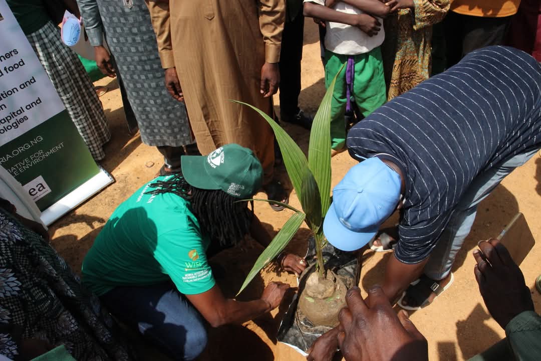 WISE Launches Tree Planting Intervention in Lere LGA to Combat Deforestation and Promote Regenerative Agriculture