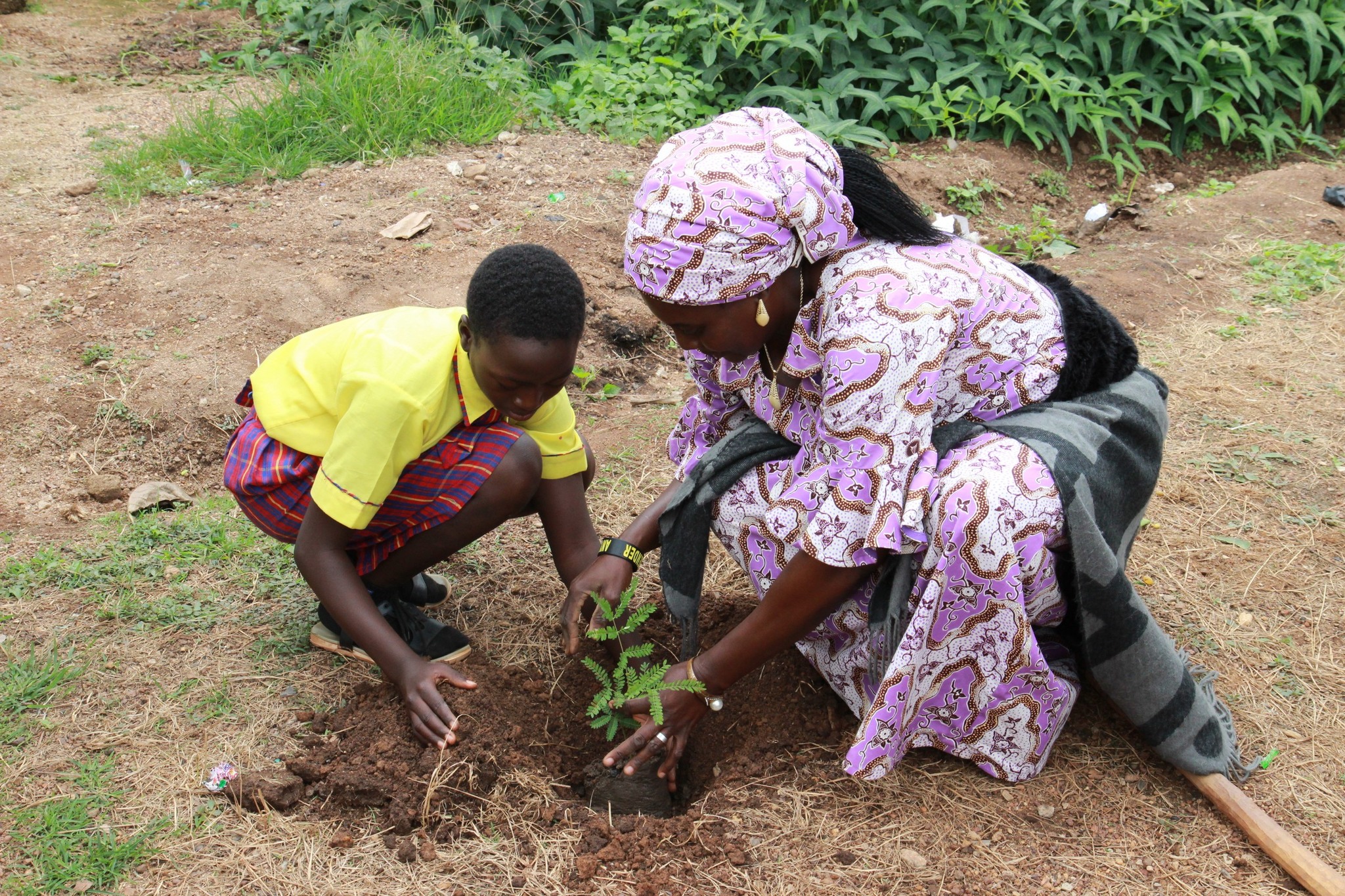 105 Trees, 1 Mission, and a Promise to the Future: WISE Greens the Heart of Kachia