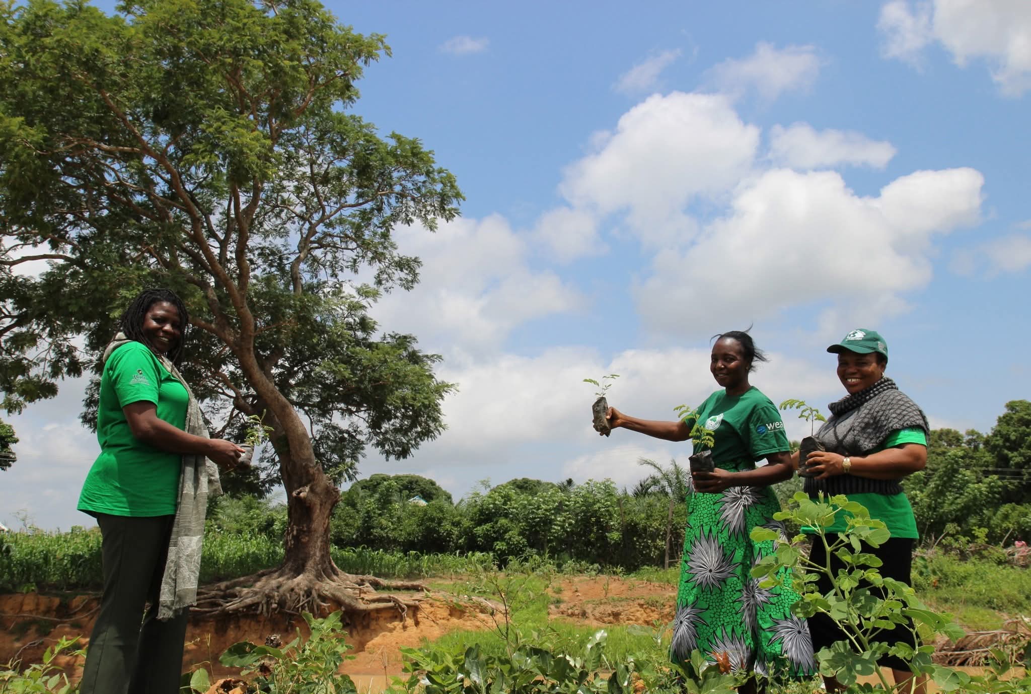 A Movement Takes Root in Kudaru: WISE Leads Community Tree Planting Drive with Women at the Forefront